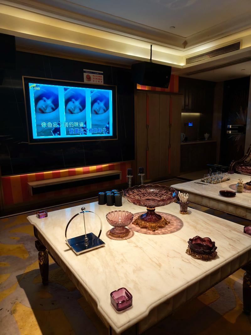 上海商务ktv中低端区别解析-普陀区ktv预定